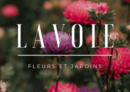 Lavoie fleurs et jardins